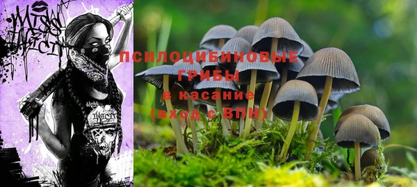 кристаллы Нягань