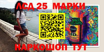 MESCALINE Камышлов