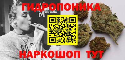 MESCALINE Камышлов