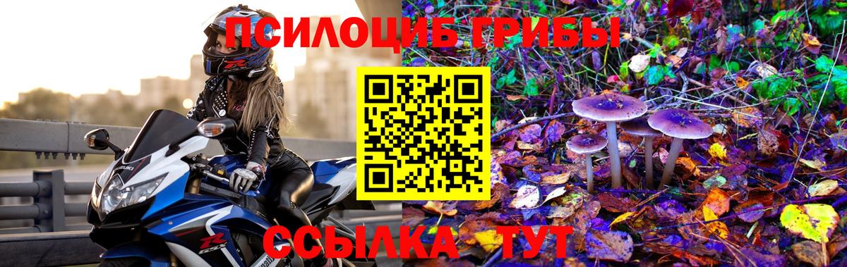 Псилоцибиновые грибы MAGIC MUSHROOMS  Людиново 