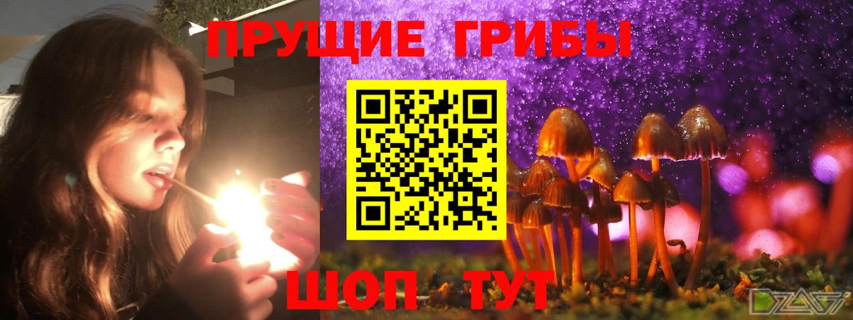 Галлюциногенные грибы GOLDEN TEACHER Людиново